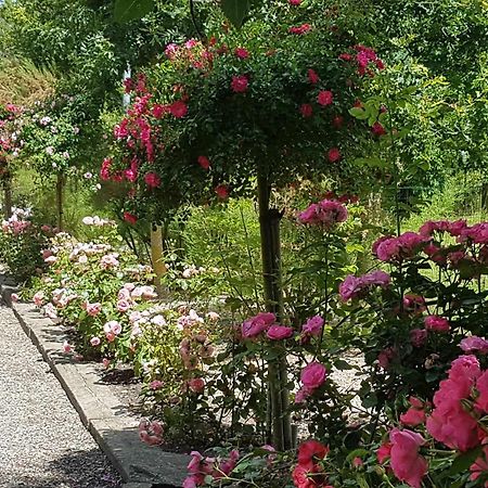 Domaine Les Rousselieres Villa อูลูนน์-ซัวร์-แมร์ ภายนอก รูปภาพ